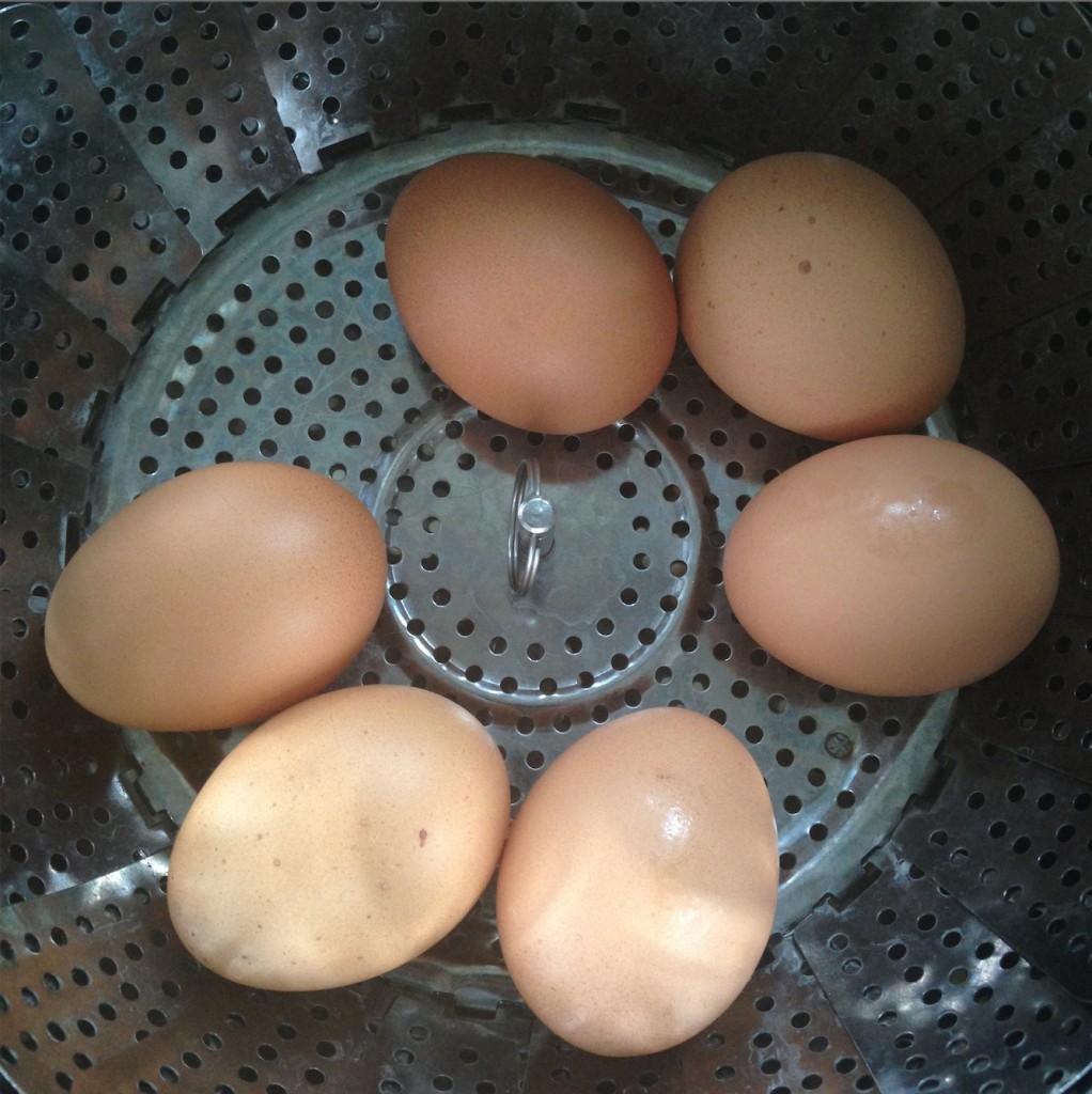 INSTANT POT Hard Boiled Eggs